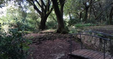 bosc fades estunes banyoles